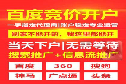 揭秘：成功SEM推广代运营公司案例解析